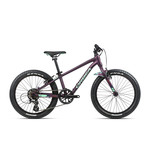 Bike Orbea MX 20 Dirt Violet/Menthe - N003