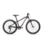 Bike Orbea mx 24 dirt Violet/Menthe