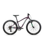 Bike Orbea MX 24 XC Violet/Menthe - N008