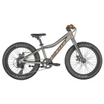 Bike Scott Roxter 20 Silver - 290752