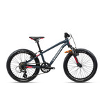 Bike Orbea MX 20 XC Bleu/Rouge - N004