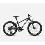 Bike Orbea MX 20 XC Violet/Menthe - N004