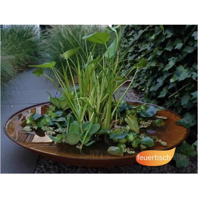 Wasserschale Vögel 80 cm.