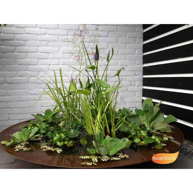 Wasserschale Vögel 120cm.