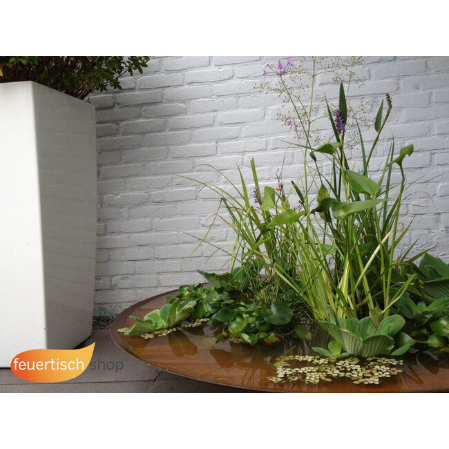 Wasserschale Vögel 120cm.