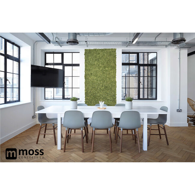 Rentiermoos Wandpaneel Mittelgrün