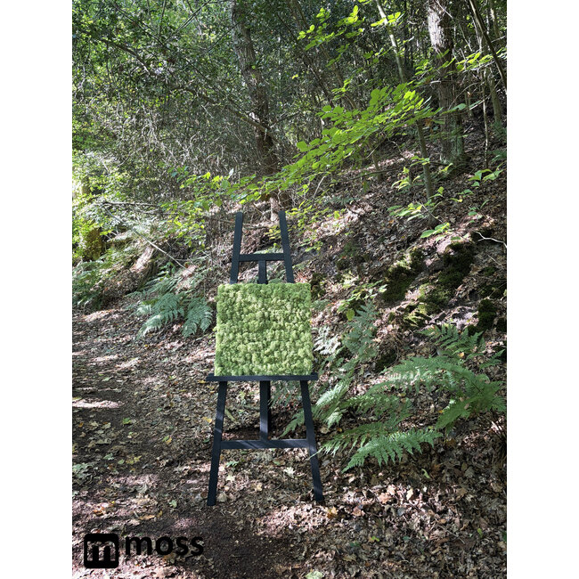 Rentiermoos Wandpaneel Mittelgrün