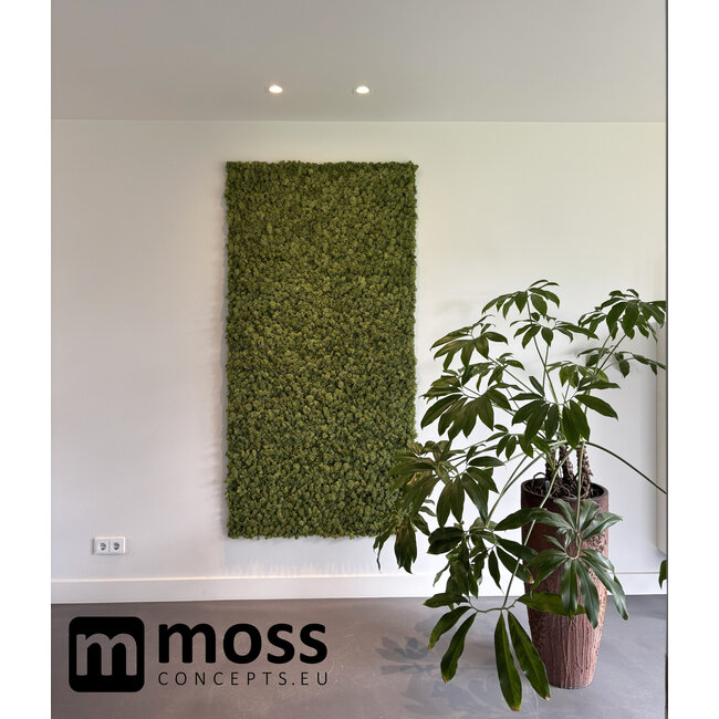 Rentiermoos Wandpaneel Mittelgrün