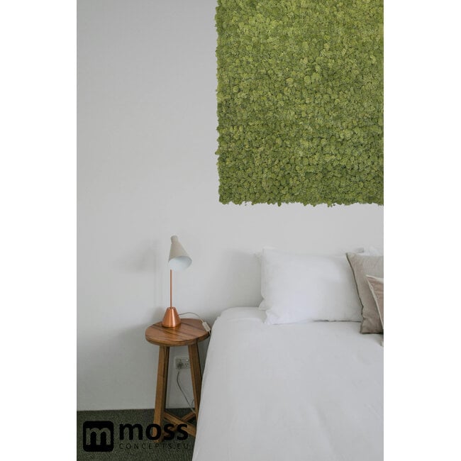 Rentiermoos Wandpaneel Mittelgrün