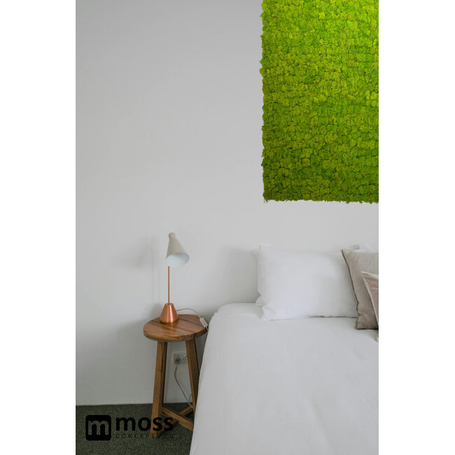 Rentiermoos Wandpaneel Frühlingsgrün