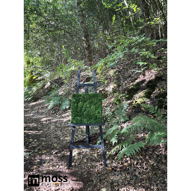 Kugelmoos Wandpaneel moosgrün