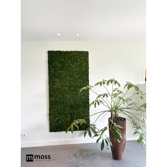 Kugelmoos Wandpaneel moosgrün