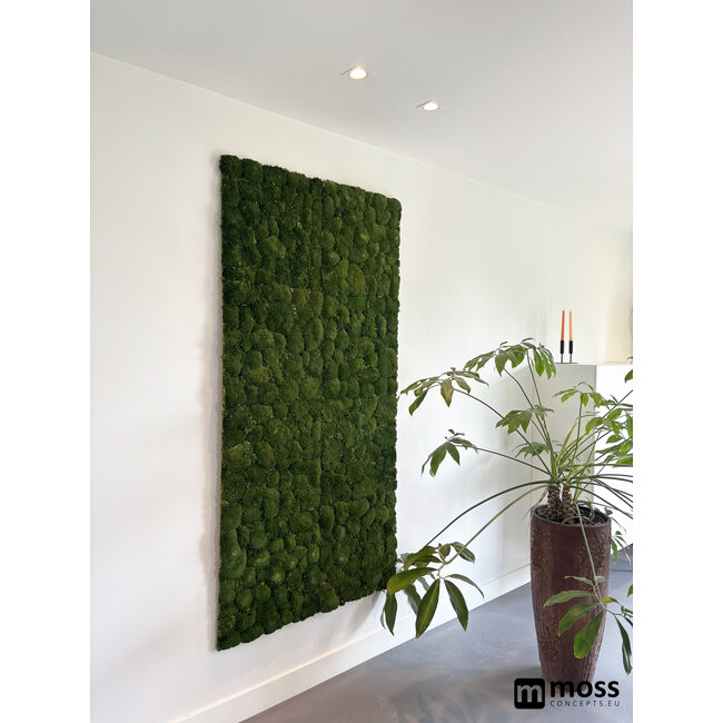 Kugelmoos Wandpaneel moosgrün