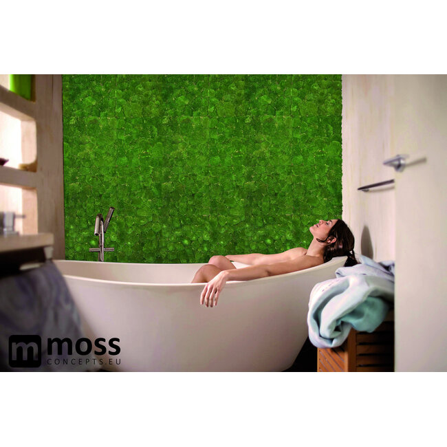 Kugelmoos Wandpaneel moosgrün
