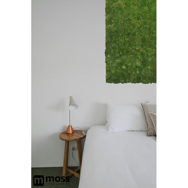 Kugelmoos Wandpaneel moosgrün
