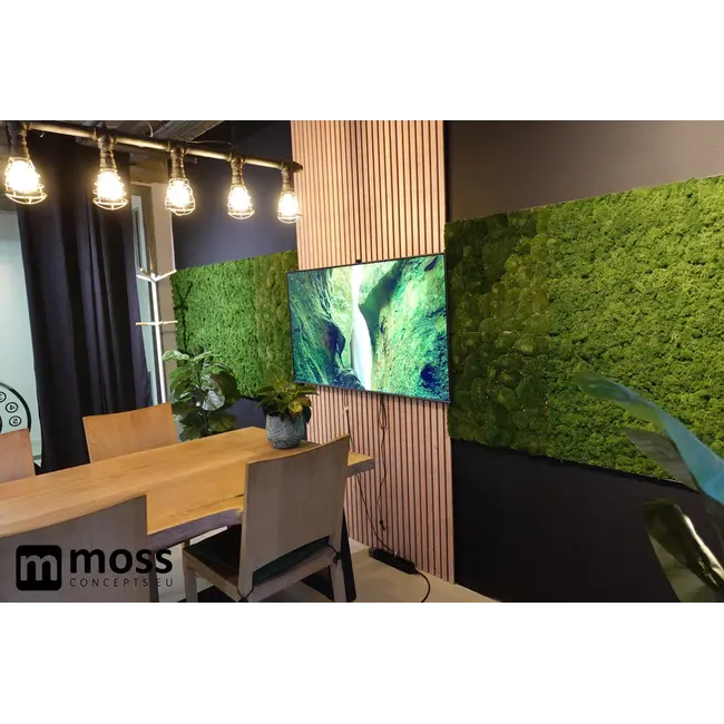 Kugelmoos Wandpaneel moosgrün