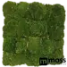 Kugelmoos Wandpaneel moosgrün