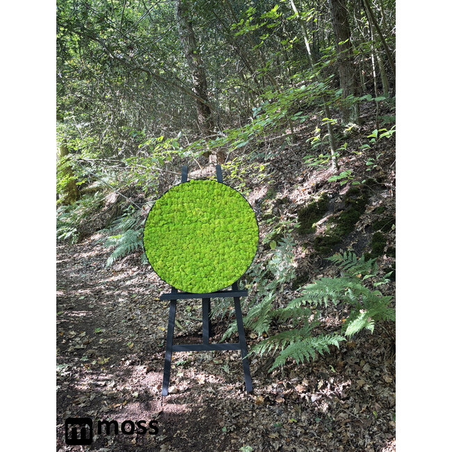 Moosbild Linn Metall 100cm.