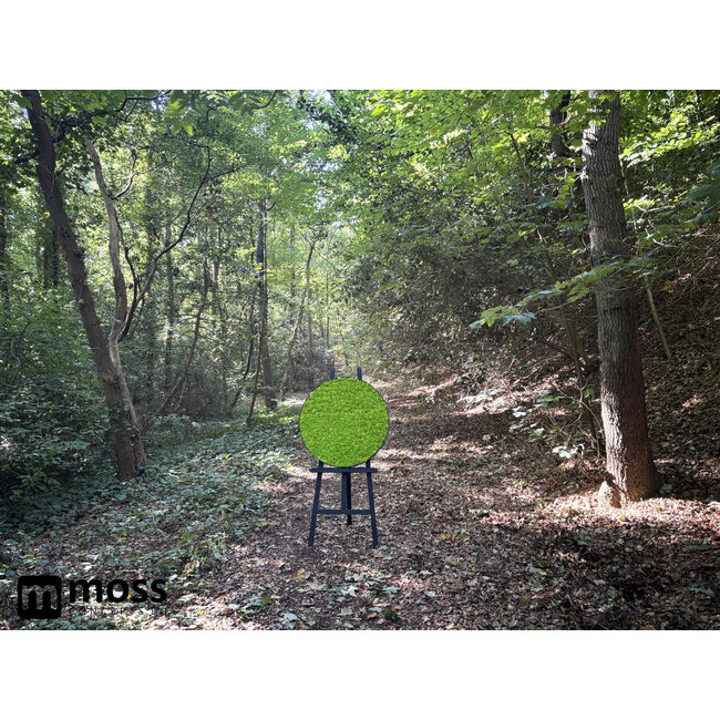 Moosbild Linn Metall 120cm.