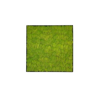 Moosbild Linn Metall 50x50cm. Moosbild Linn Metall 50x50cm.