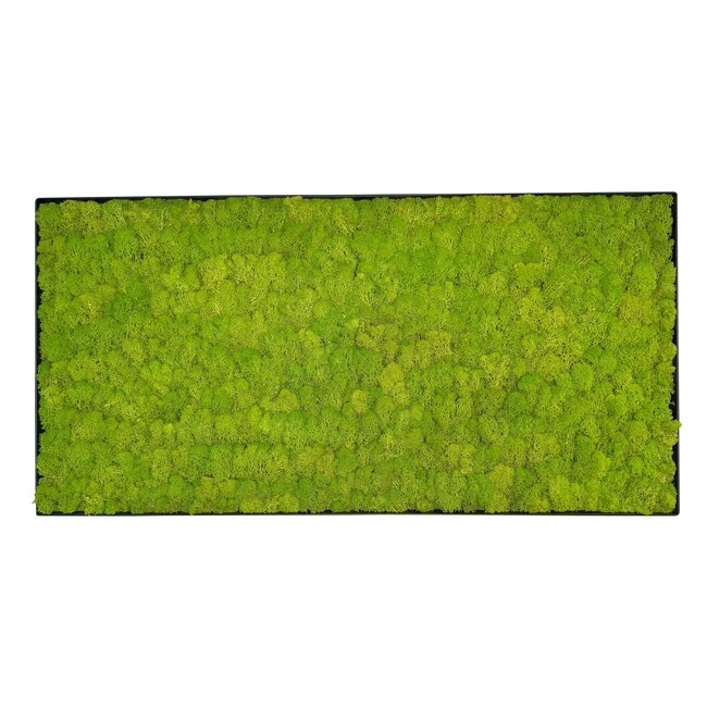 Moosbild Linn Metall 100x50cm.