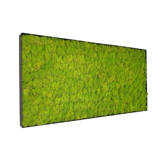 Moosbild Linn Metall 100x50cm. Moosbild Linn Metall 100x50cm.