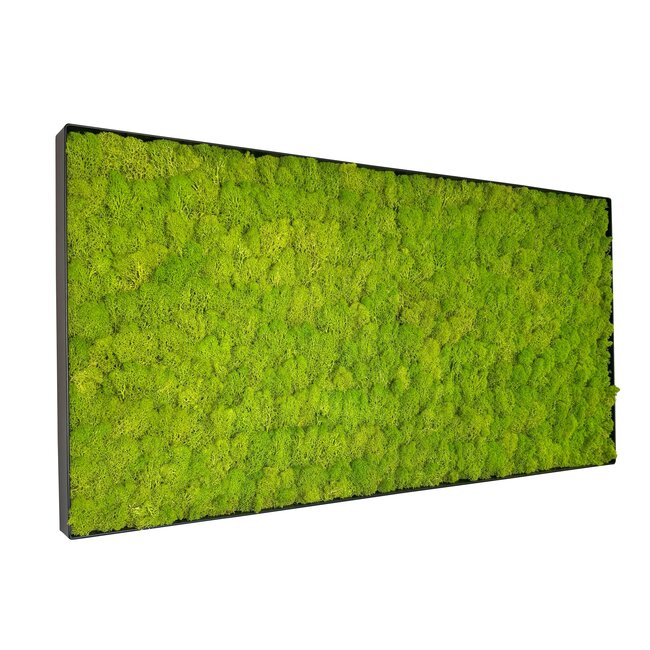 Moosbild Linn Metall 100x50cm.