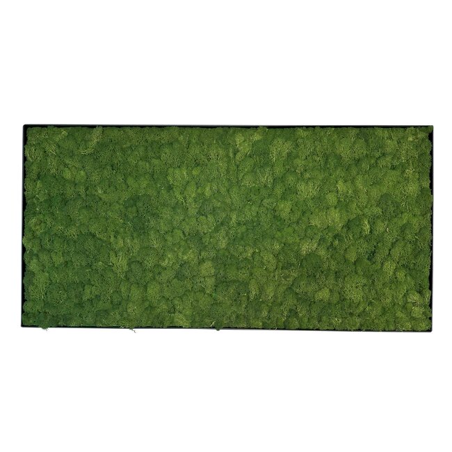 Moosbild Fay Metall 100x50cm.