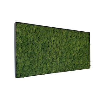 Moosbild Fay Metall 100x50cm. Moosbild Fay Metall 100x50cm.