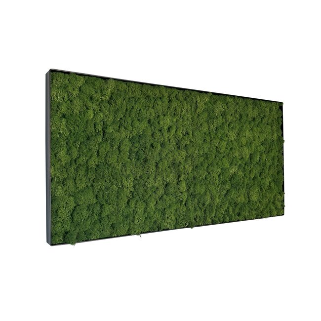 Moosbild Fay Metall 100x50cm.