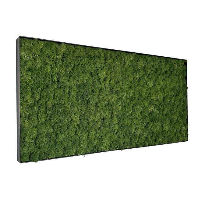 Moosbild Fay Metall 100x50cm.