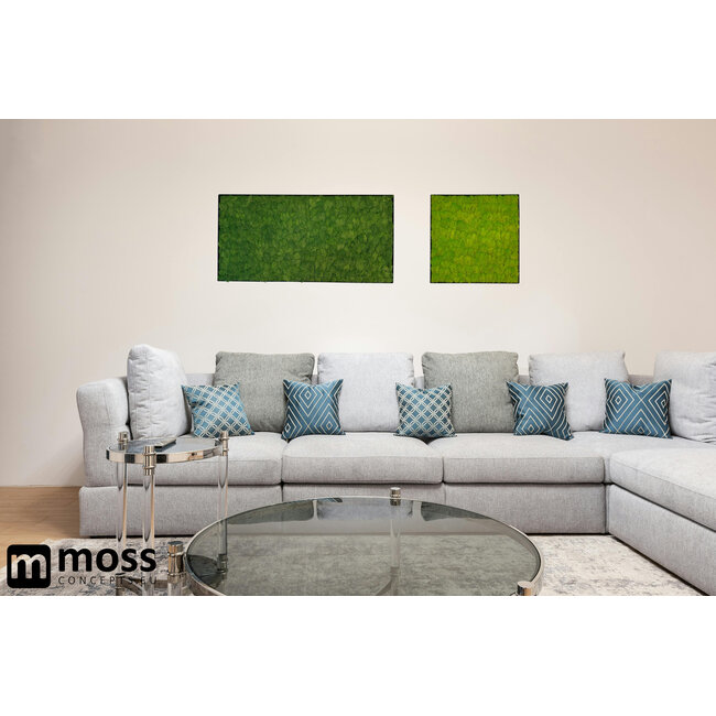 Moosbild Fay Metall 100x50cm.