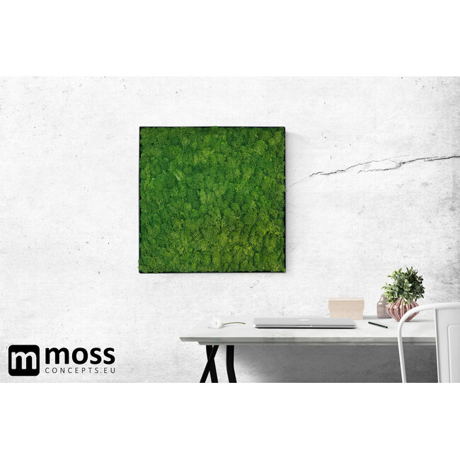 Moosbild Fay Metall 50x50cm.