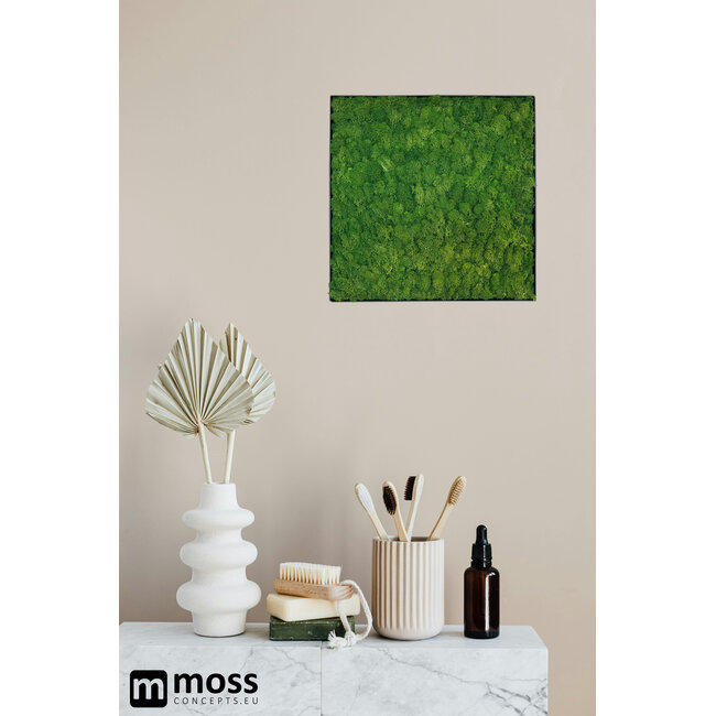 Moosbild Fay Metall 50x50cm.