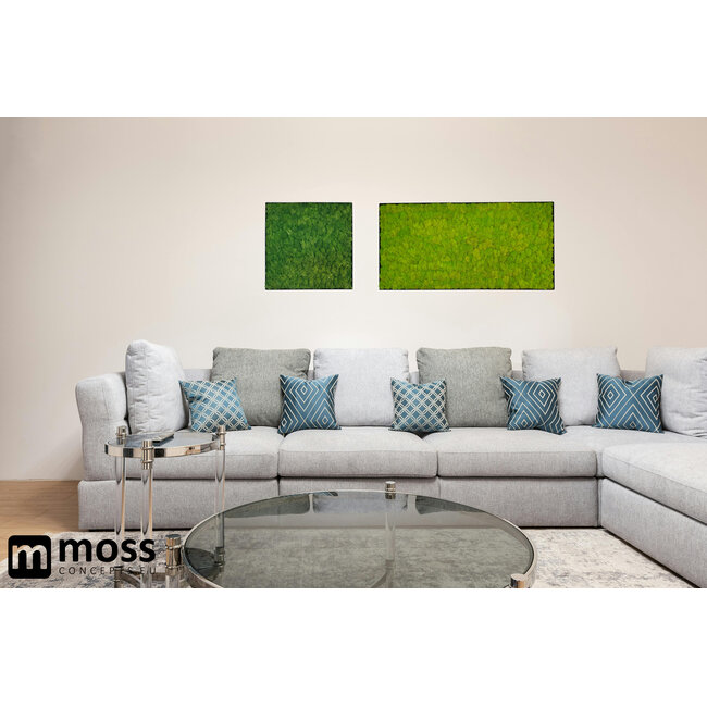 Moosbild Fay Metall 50x50cm.