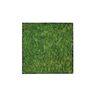 Moosbild Fay Metall 50x50cm. Moosbild Fay Metall 50x50cm.