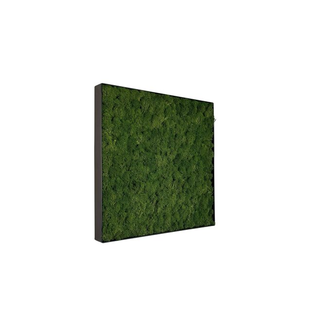 Moosbild Fay Metall 50x50cm.