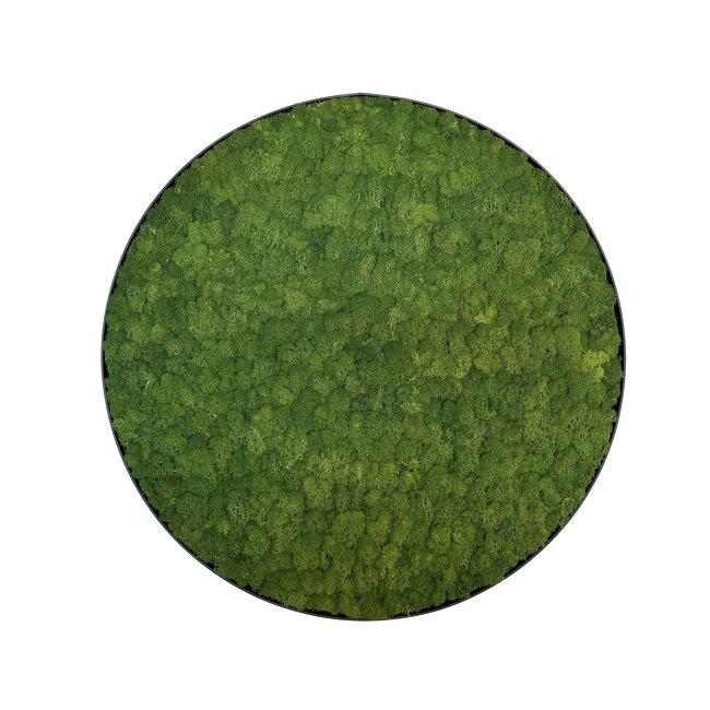 Moosbild Fay Metall 60cm.