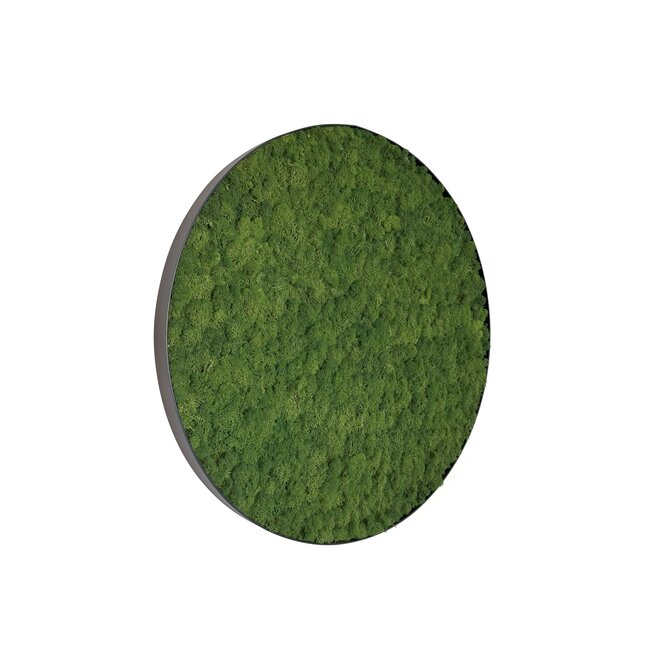 Moosbild Fay Metall 60cm.