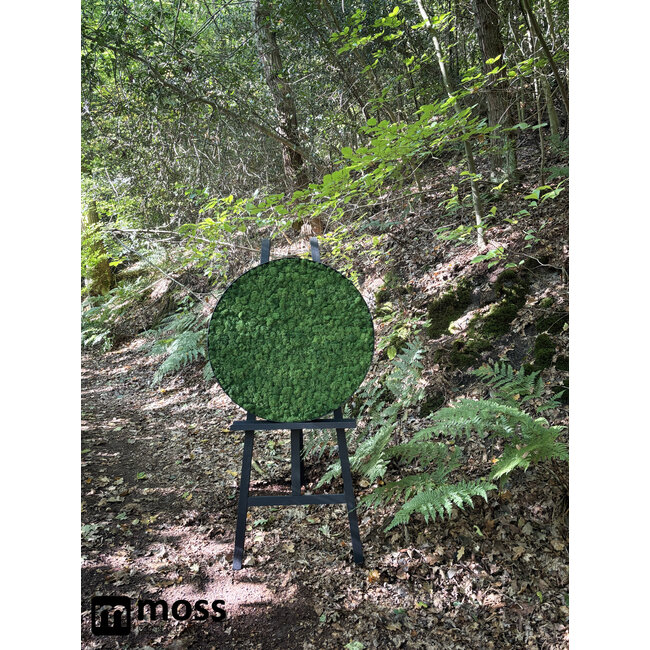 Moosbild Fay Metall 60cm.