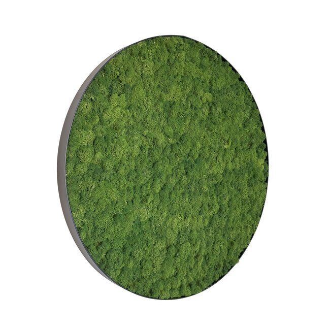 Moosbild Fay Metall 100cm.