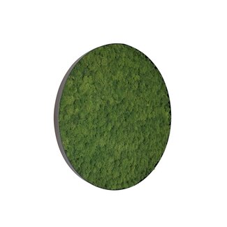 Moosbild Fay Metall 120cm. Moosbild Fay Metall 120cm.