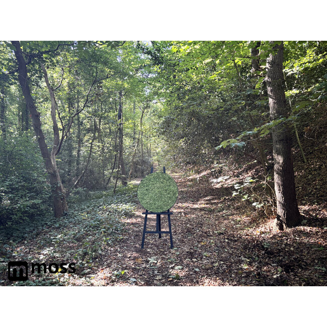 Moosbild Leah Metall 60cm.