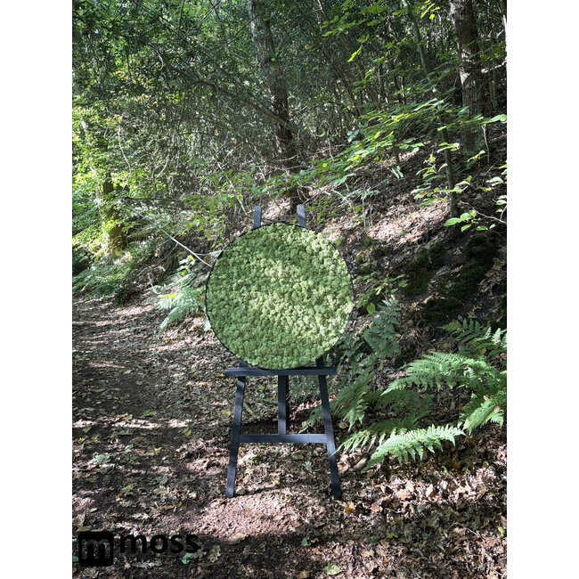 Moosbild Leah Metall 100cm.