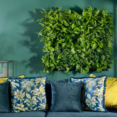 LivePanel PACK, eine nachhaltige Pflanzenwand