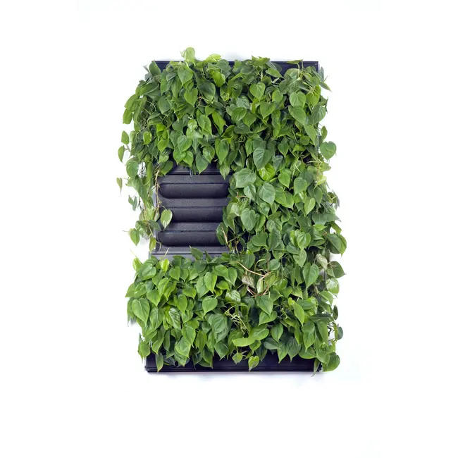 LivePanel PACK 2x3 – Das Komplettsystem für begrünte Wände