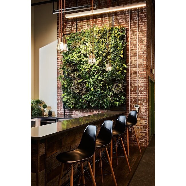 LivePanel PACK 2x3 – Das Komplettsystem für begrünte Wände