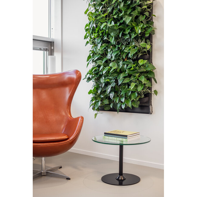 LivePanel PACK 2x3 – Das Komplettsystem für begrünte Wände