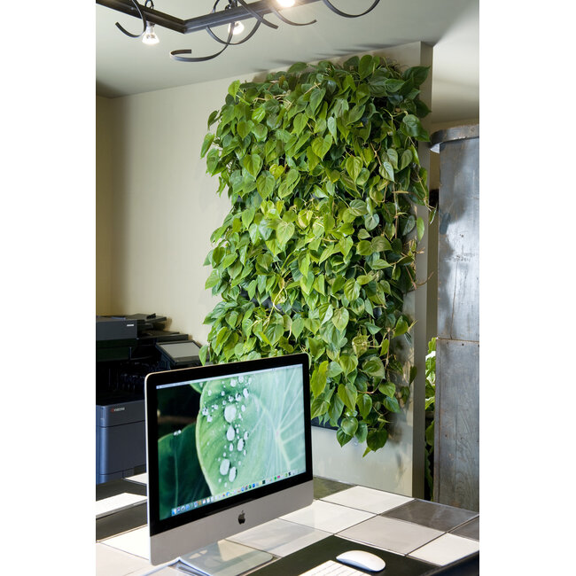 LivePanel PACK 2x3 – Das Komplettsystem für begrünte Wände