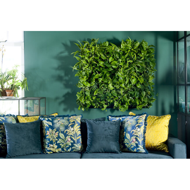 LivePanel PACK 2x2 – Das Komplettsystem für begrünte Wände